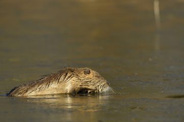 Val-Loire_05584_JPM0581