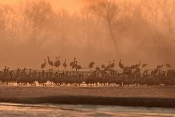 Val-Loire_06663_KPQ4136